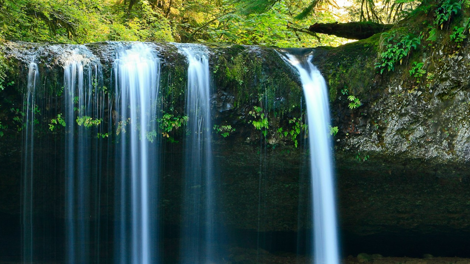 The same scene filmed steady — crisp, calm, the motion smooth.