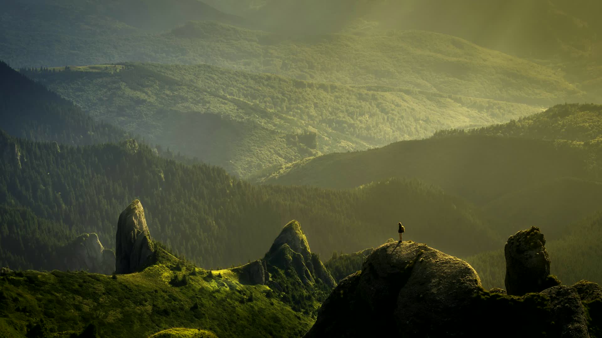 The same photo after one gentle edit — a little more light, a touch more color, and the scene comes alive.